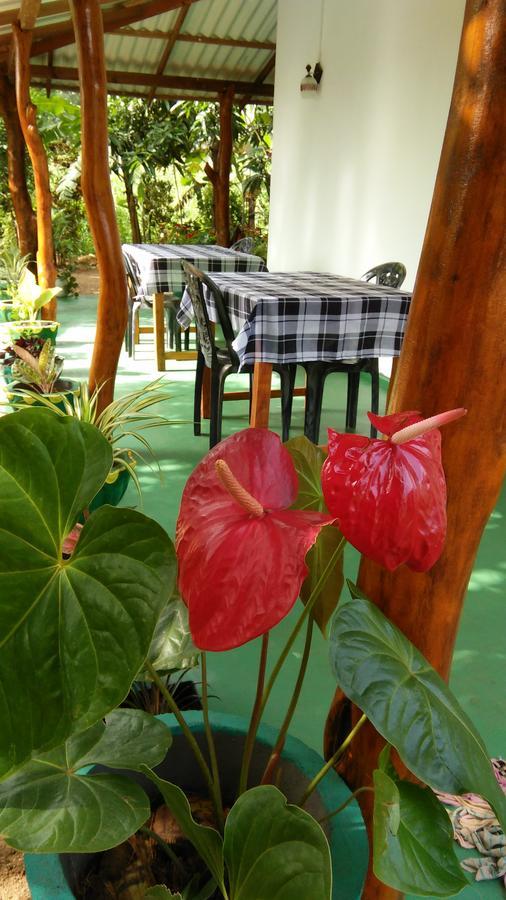 Amaya River Side Homestay Sigiriya Exteriér fotografie