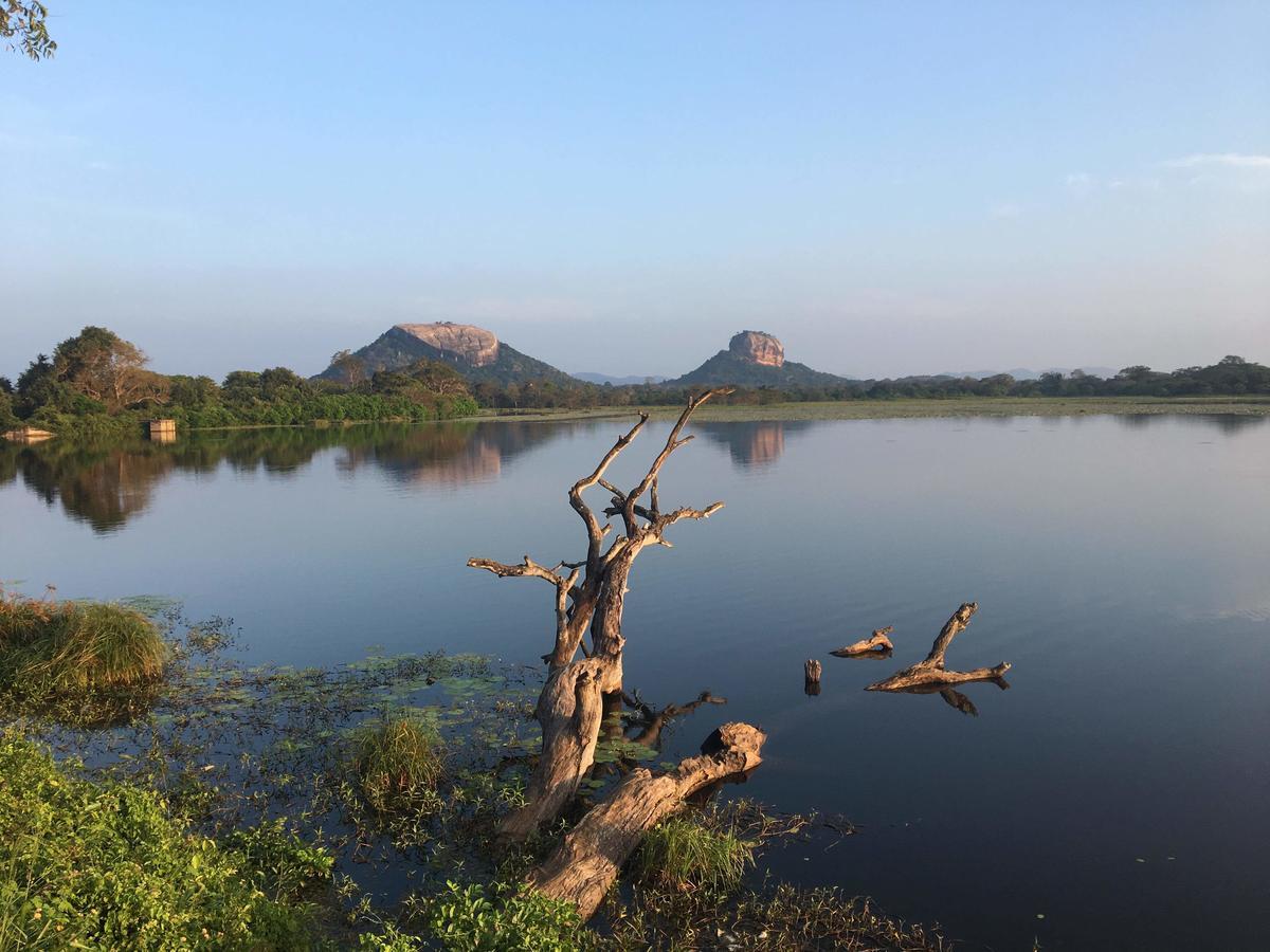 Amaya River Side Homestay Sigiriya Exteriér fotografie