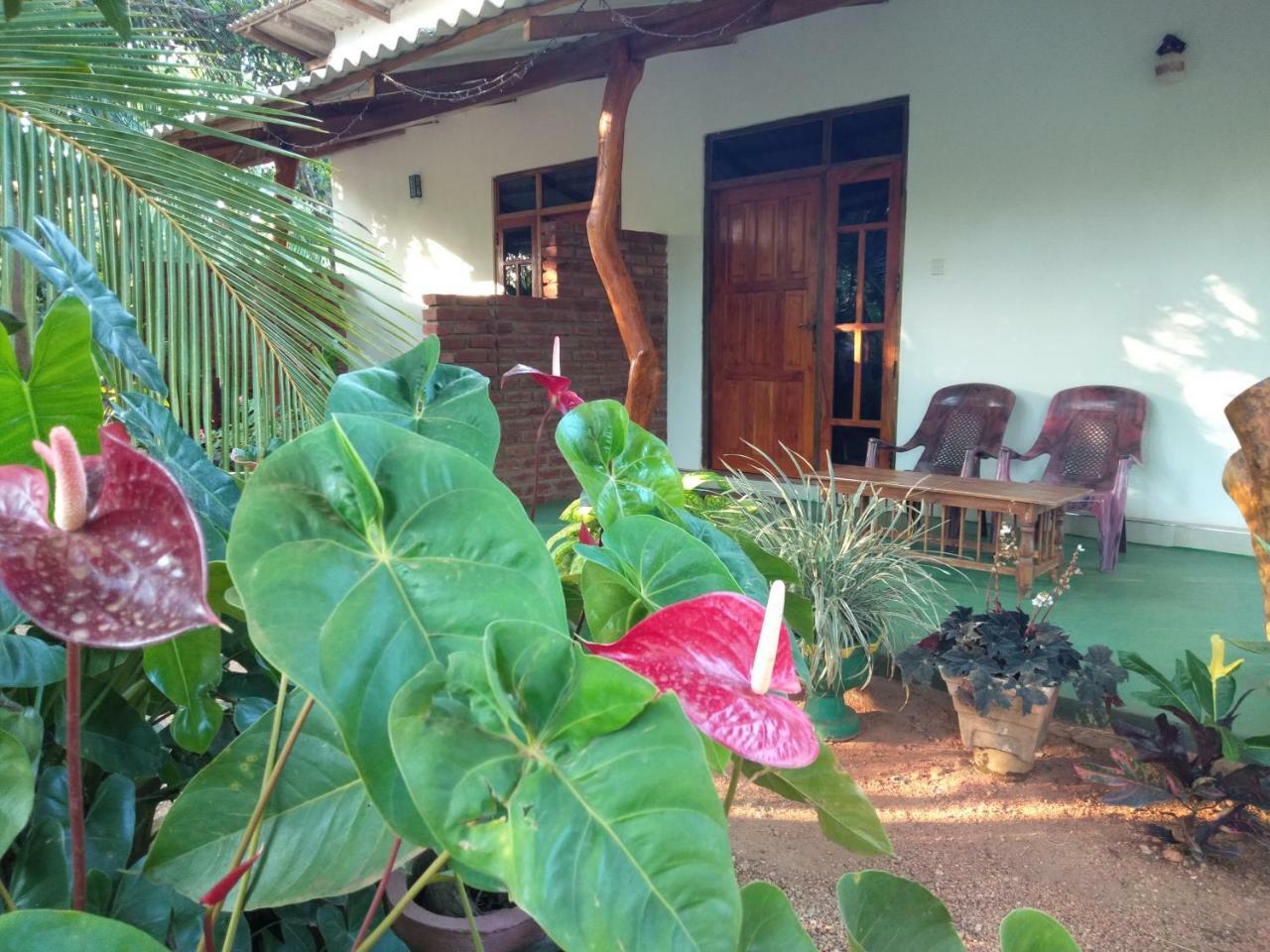 Amaya River Side Homestay Sigiriya Exteriér fotografie